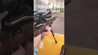 KRAL ARMS PCP Puncher wood  Field target tiroesportivobrasil carabinapcp [upl. by Daggett]