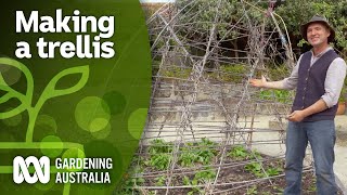 How to build a trellis for your climbing plants  DIY Garden Projects  Gardening Australia [upl. by Oriane766]