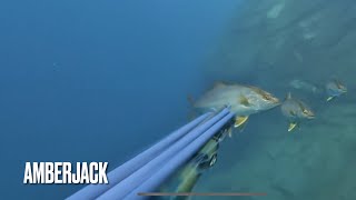 Подводная охота на канарских островах 🇮🇨 Осень 2024 spearfishing tenerife [upl. by Kuth676]