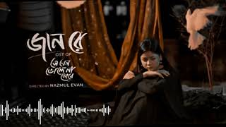 জান রে 💔🥀 Jaan Re  New Lofi song 2024  SlowedReverb  Tanzil Misbah  Nazmul Evan  lofimusic [upl. by Jacobsohn]