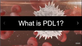 What is PDL1 [upl. by Teyugn]