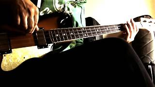 THE WALLFLOWERS  THE DIFFERENCE  Bass cover by Stefano Schembari [upl. by Charleen]