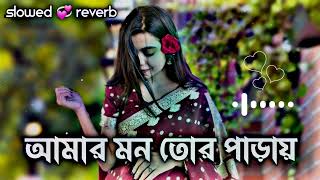 আমার মন তোর পাড়ায় Amar Mon Tor Paraiy  Slowed 💞 Reverb Ripon Lofi BD 2024 [upl. by Attaynik]