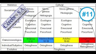 Humanos  Filogênese  Ontogênese  Sóciogênese [upl. by Kroo459]