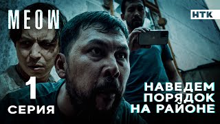 Родной природа уже не кумарит  MEOW  1 серия [upl. by Frendel]