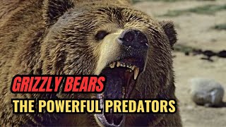 Grizzly Bears Everything You Need to Know About These Powerful Predators [upl. by Oetsira503]