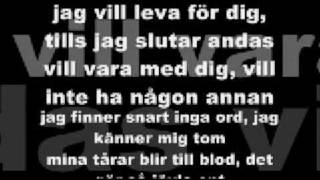 AMC  Jag kan inte ljuga för dig lyrics [upl. by Atinav47]