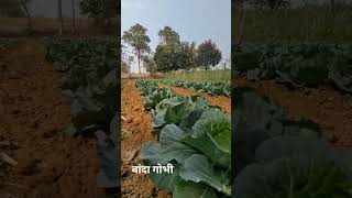 farmer 2024 sorts video [upl. by Nesrac]