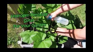 Hydrogen Peroxide For Your Garden [upl. by Pazia]