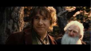 The Hobbit Bilbos Speech  Why did you come back [upl. by Suiravad734]