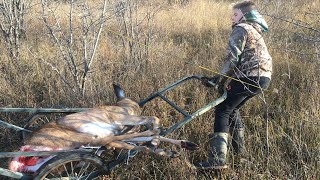 Loading deer into truck with game cart Easy [upl. by Rist]