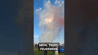 TagesFeuerwerk fireworks feuerwerk experiment vuurwerk silvester bigboom explosion shorts [upl. by Essined874]