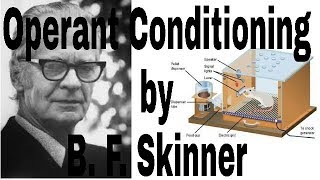 Operant conditioning theory by BF Skinner [upl. by Karl]