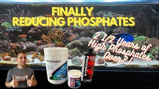 Reducing High Phosphates in My 200 Gallon Reef Tank 2 12 Years of Lessons to Get to This Point [upl. by Amian]