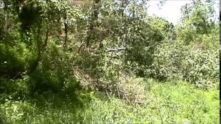 Storm damage from a microburst May 27 2014 [upl. by Ramilahs]