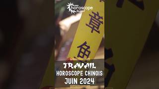 Votre Horoscope Chinois mensuel de Juin 2024 Travail [upl. by Liliane]