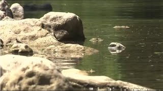 Dive team recovers body of 12yearold boy who drowned in Guadalupe River [upl. by Seema]