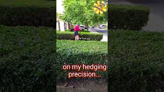 Problem with Batteries hedging gardening daisy timelapse shorts [upl. by Godart]