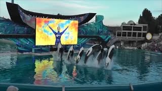 Final Performance of One Ocean  SeaWorld San Diego  HD [upl. by Lucien689]