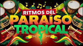 RITMOS DEL PARAISO TROPICAL  CUMBIA INSTRUMENTAL  2024 [upl. by Nyrol]