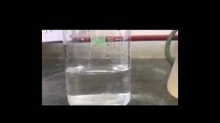 Preparation of Chitosan Beads microbiologylab microbiology research biology [upl. by Nagorb]