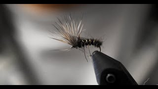 Mayfly Emerger  Fly Tying Tutorial  super easy to tie [upl. by Sedberry]