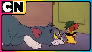 Tom amp Jerry 😺🐭  Million Dollar Chaos Faction  Cartoon for Kids  Only on Cartoon Network [upl. by Sankaran]