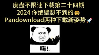 Pandownload 神器 不限速 百度网盘不限速下载 高速解析 高速下载 百度网盘直链下载 百度网盘批量下载 第二十四期 [upl. by Salba68]