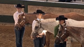 4H Horses  Iowa State Fair 2013 [upl. by Robenia]