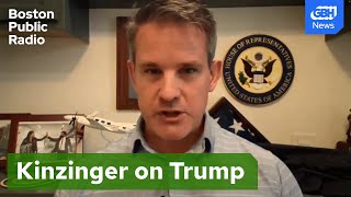 quotIts a cultquot Former Rep Adam Kinzinger on Trumps following [upl. by Sadirah706]