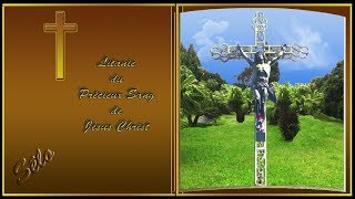 Litanies du Précieux Sang de Jésus Christ Livret de Prière Sonore Sélo [upl. by Llib120]