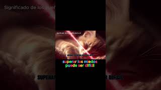 🐱⚔️Soñar con un gato atacando 🐱⚔️ significadodelossueños sueños [upl. by Leroi]