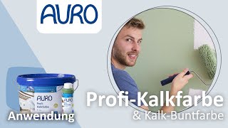 AURO Anwendung Kalkfarben und KalkBuntfarben [upl. by Rabin]