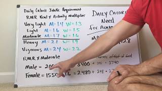 Estimating Daily Caloric Intake using Harris Benedict Equation [upl. by Ynney]