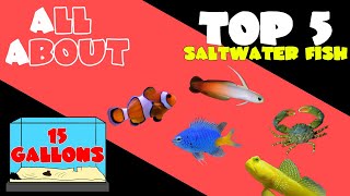 Top 5 Fish for 15 Gallon Saltwater Tank [upl. by Ellsworth]