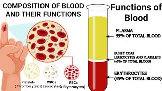 Composition of blood and their functions Functions of blood in hindi [upl. by Ariajay737]