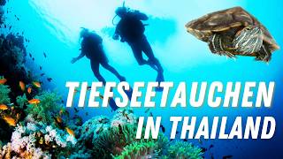 Tauchen in Thailand – Birk trifft bunte Fische Schildkröten amp Korallen  UnterwasserAbenteuer [upl. by Dacy]