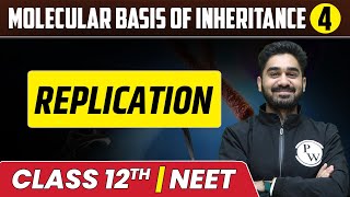 Molecular Basis Of Inheritance 04  Replication  Class 12thNEET [upl. by Herman]