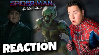 SpiderMan No Way Home Trailer 2 Reaction [upl. by Lougheed214]