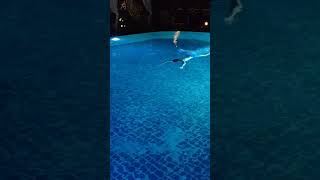 G pool dive at night in Koh Phangan [upl. by Jeaz]