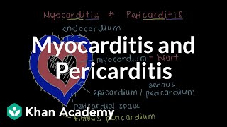 What is myocarditis and pericarditis  Circulatory System and Disease  NCLEXRN  Khan Academy [upl. by Lareneg]