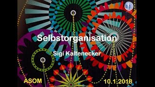 Selbstorganisation [upl. by Ahsatak]