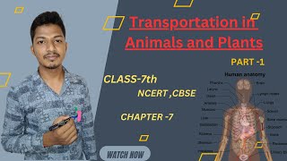 Transportation in Animals And Plants  Class7  NCERT  CBSE PART 1 Sahil sir [upl. by Omura79]