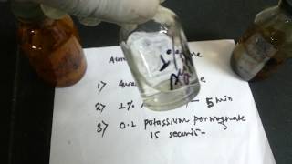 Auramine rhodamine staining procedure [upl. by Munroe]