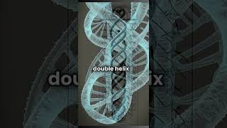 AI GPT DNAs Double Helix Structure human DNA reels shortvideo [upl. by Ennaeed450]