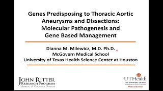 Dianna Milewicz Genes Predisposing to Thoracic Aortic Aneurysms and Dissections [upl. by Desireah]