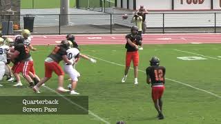 PreSeason Highlights Caden Cashman 8 McDonogh Football vs Salesianum 81624 [upl. by Merle76]