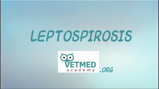 Introduction to Leptospirosis [upl. by Otipaga]