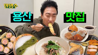 ENG 용산에서 제대로 된 세끼 추천해드립니다ㅣ명수세끼 용산맛집ㅣ할명수 ep207 [upl. by Yojal]