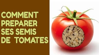 Comment Préparer et Réussir ses Semis de Tomates [upl. by Ballinger]